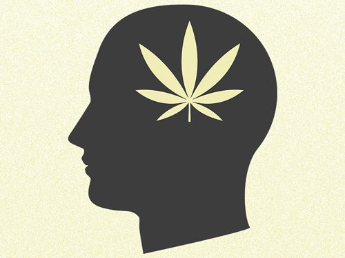 The Effect of Marijuana on the Brain