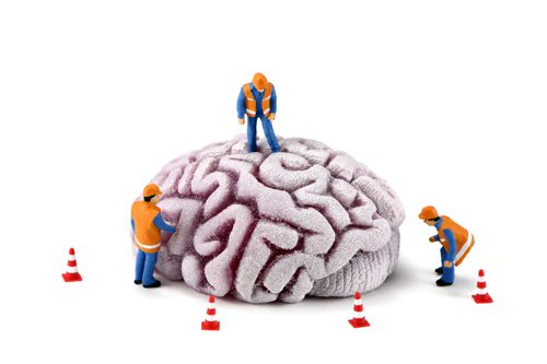 little construction workers on large brain - detoxification