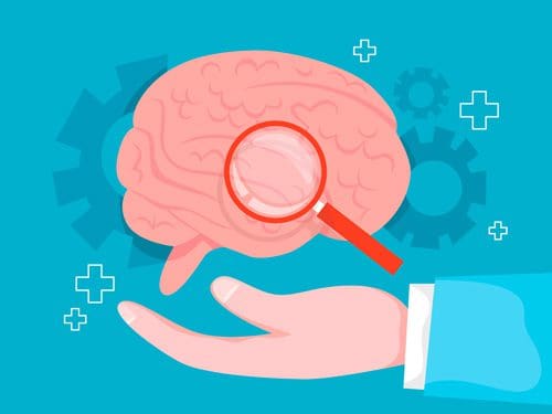 illustration of magnifying glass on brain - Neuroplasticity