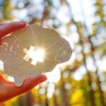 Canyon Vista - The 5 C’s of Mental Health