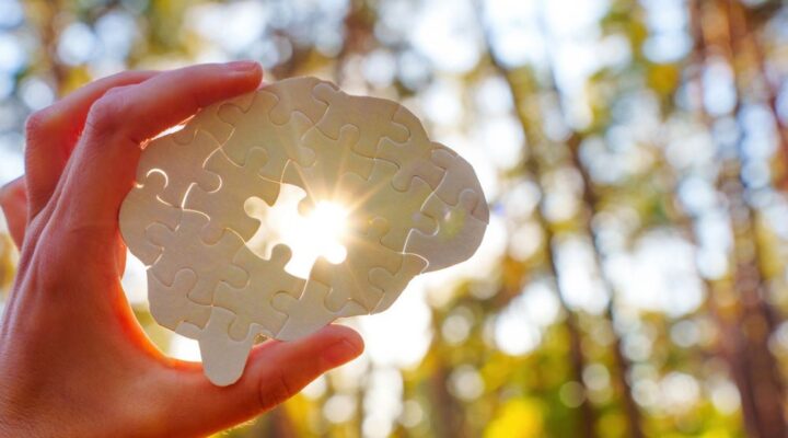 Canyon Vista - The 5 C’s of Mental Health