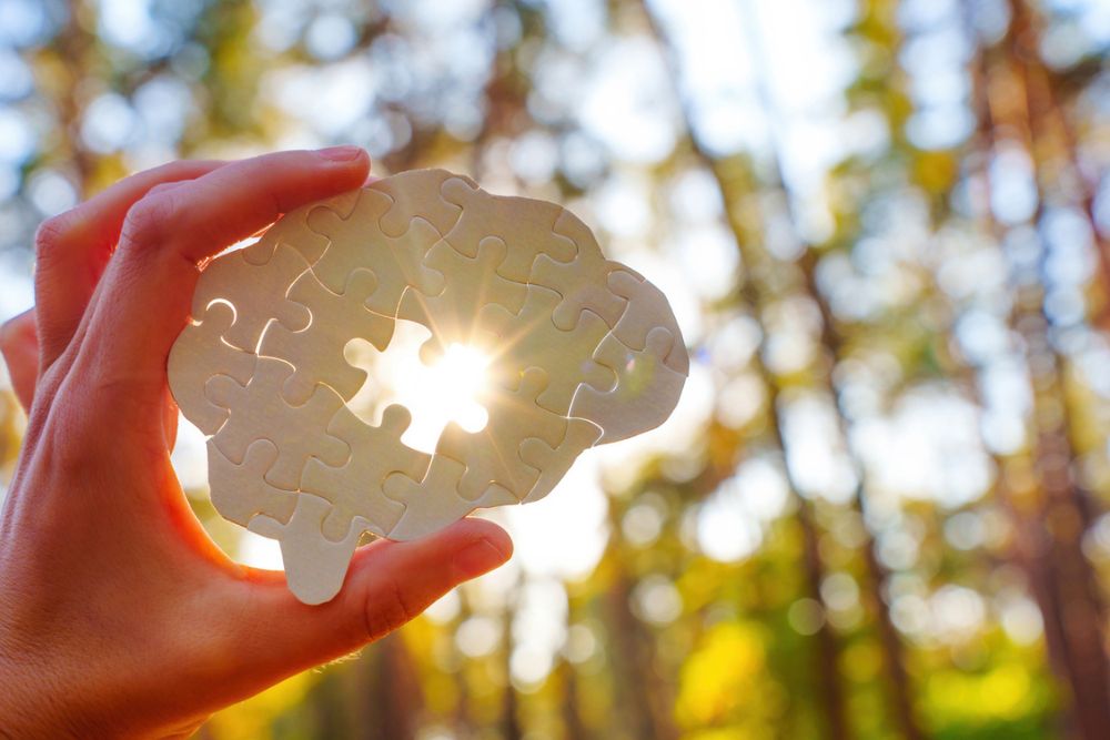 Canyon Vista - The 5 C’s of Mental Health